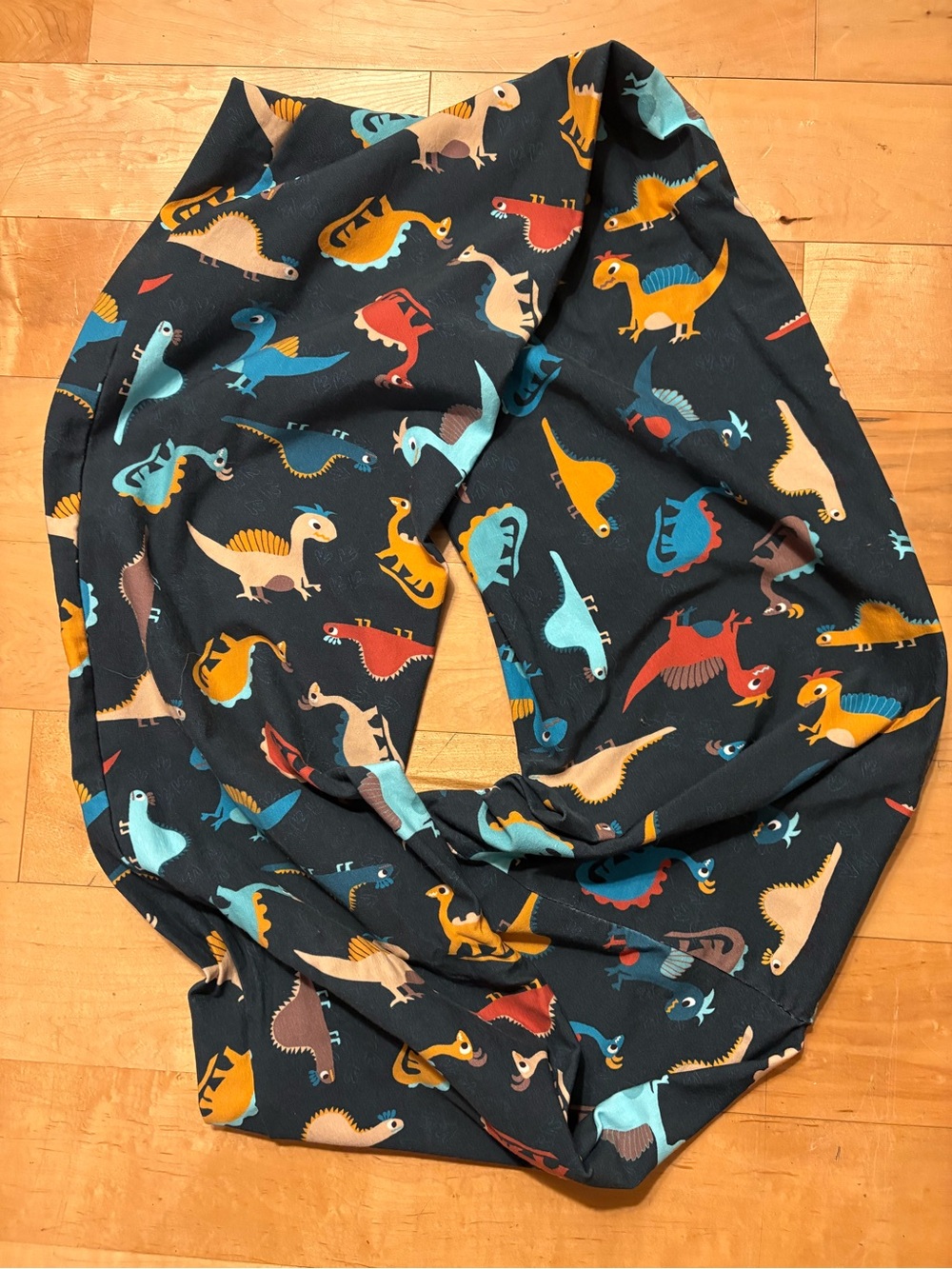 Dinosaur Infinity Scarf
